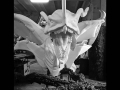 Progetto carro allegorico Avatar 23.jpg