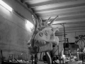 Progetto Carro allegorico Harry potter 12.jpg
