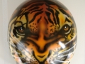 casco tigre 1.jpg