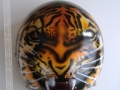 casco tigre 2.jpg