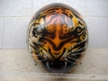 casco tigre 3.jpg